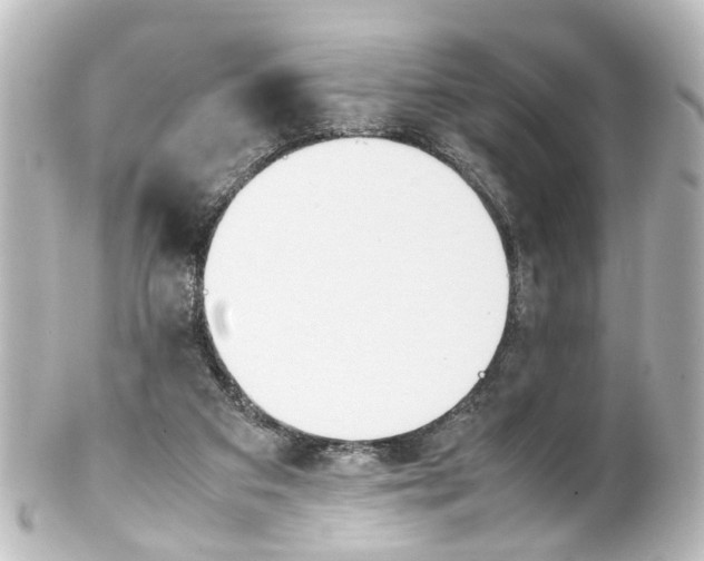 X0000100230113200806271759
