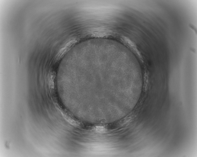 X0000100230114200806271759