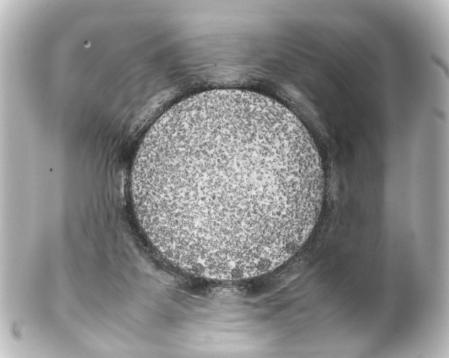 X0000100230115200806271759
