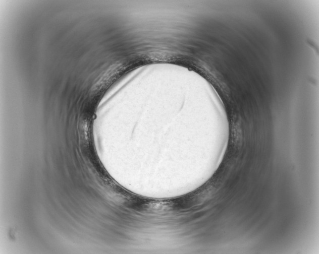 X0000100230117200806271759