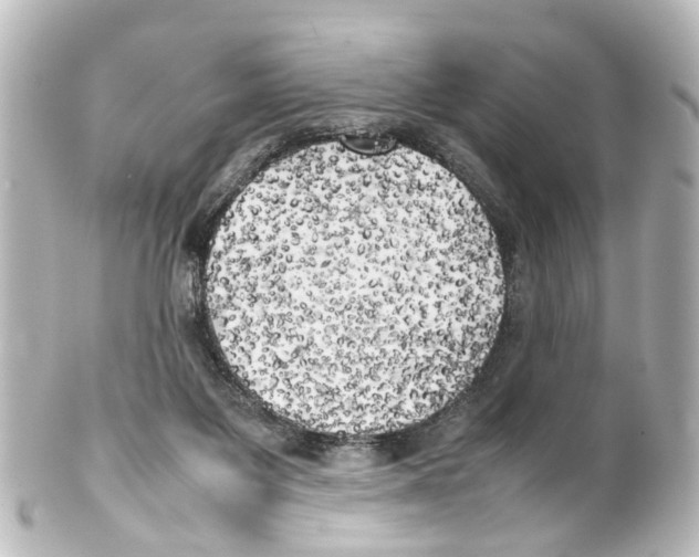 X0000100230119200806271759