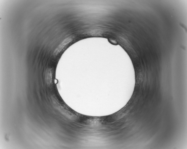 X0000100230120200806271759