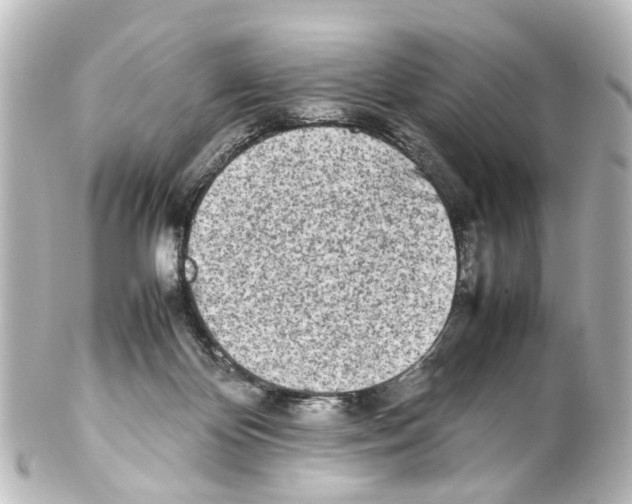 X0000100230124200806271759