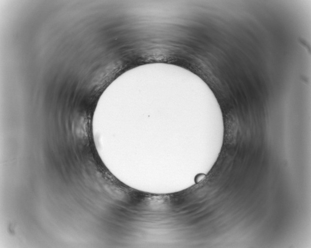 X0000100230126200806271759