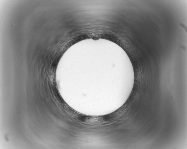 X0000100230129200806271759