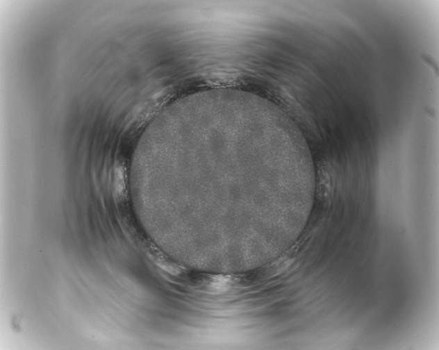 X0000100230130200806271759