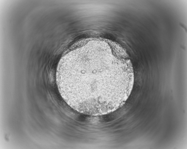 X0000100230131200806271759