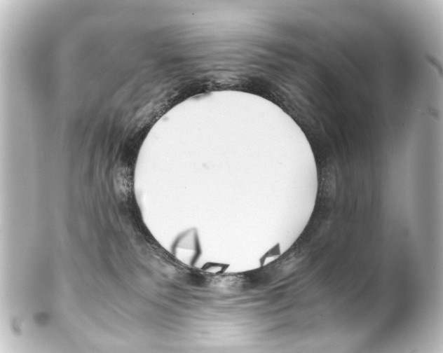 X0000100230135200806271758
