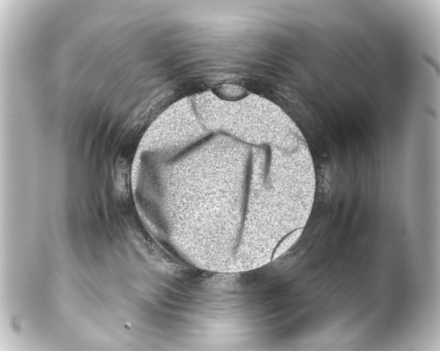 X0000100230138200806271758