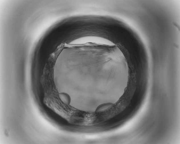 X0000100230143200806271758