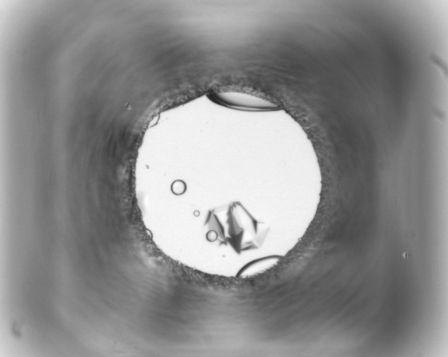 X0000100230144200806271758