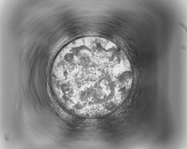 X0000100230145200806271757