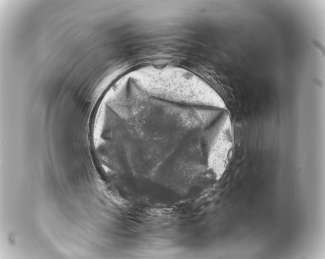 X0000100230147200806271758