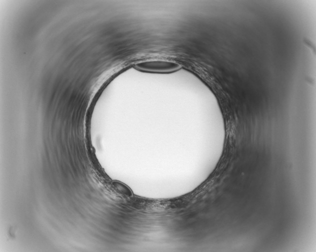 X0000100230148200806271758