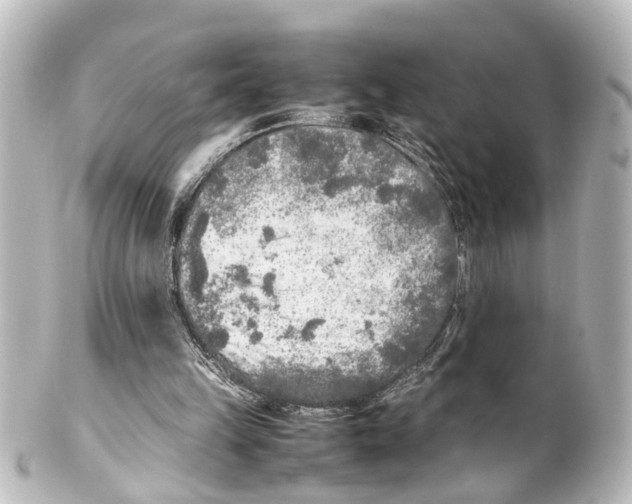 X0000100230149200806271758