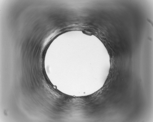 X0000100230150200806271758