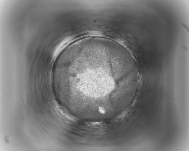 X0000100230151200806271758