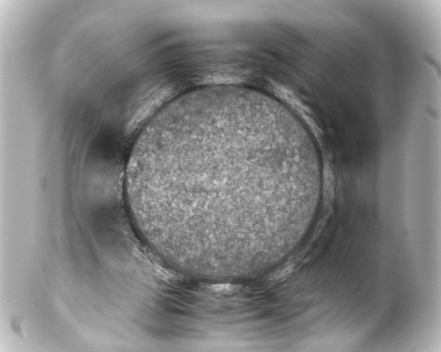 X0000100230153200806271758