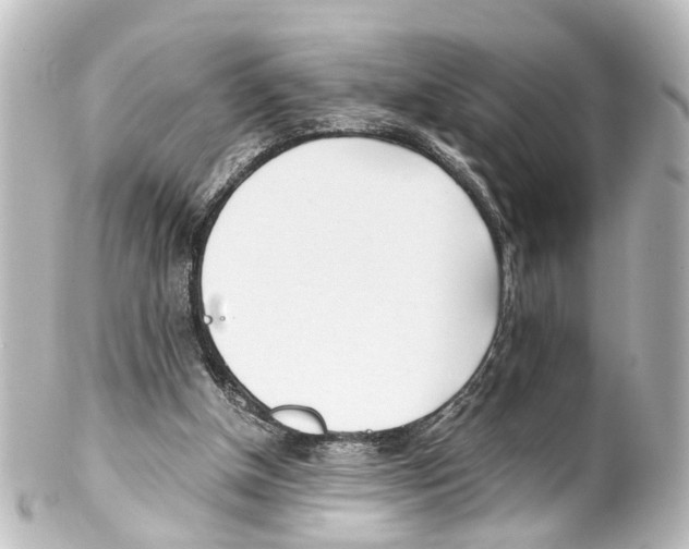 X0000100230154200806271758
