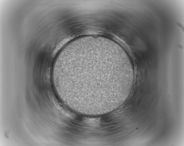 X0000100230155200806271758