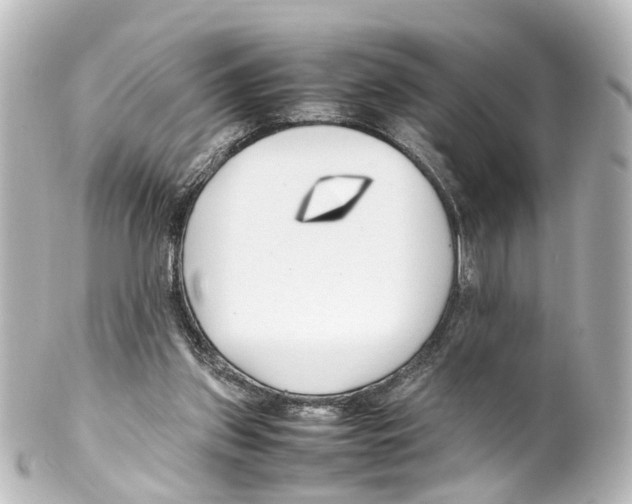X0000100230157200806271758