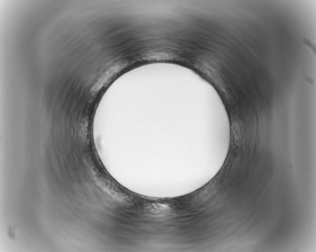 X0000100230159200806271758