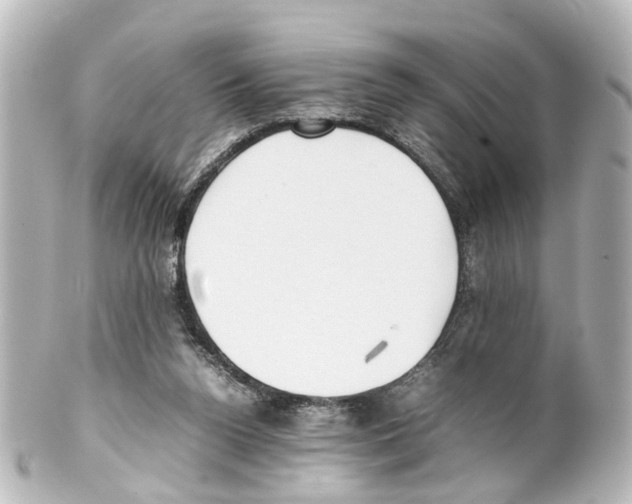 X0000100230160200806271758