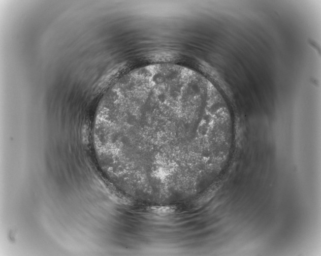 X0000100230161200806271758