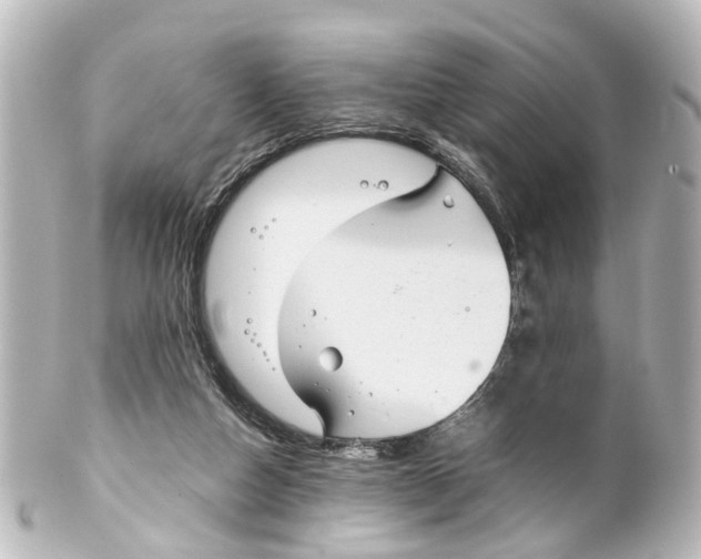 X0000100230162200806271758
