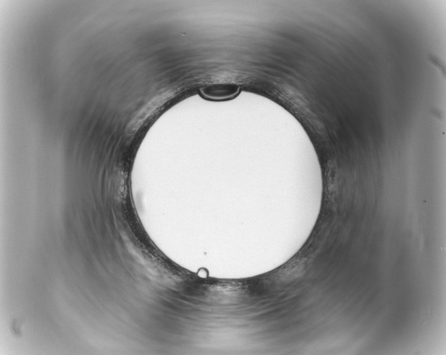 X0000100230164200806271758