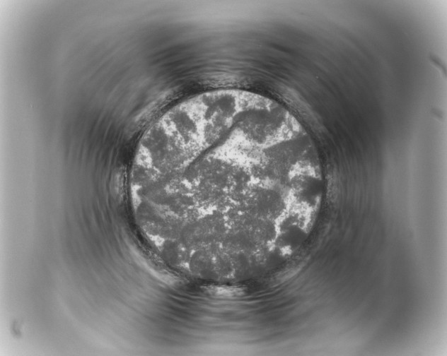 X0000100230165200806271758