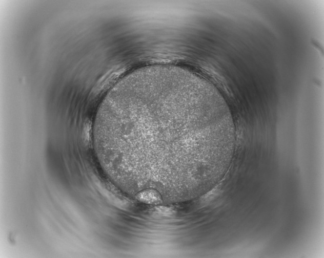 X0000100230166200806271758