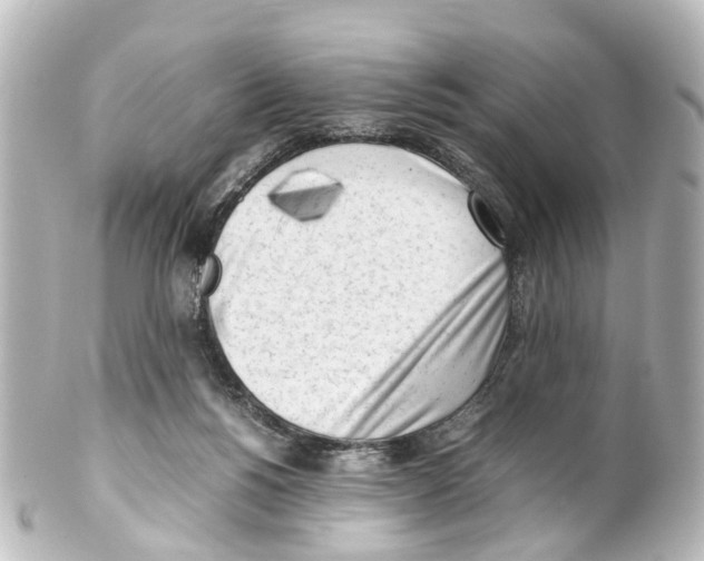 X0000100230168200806271758