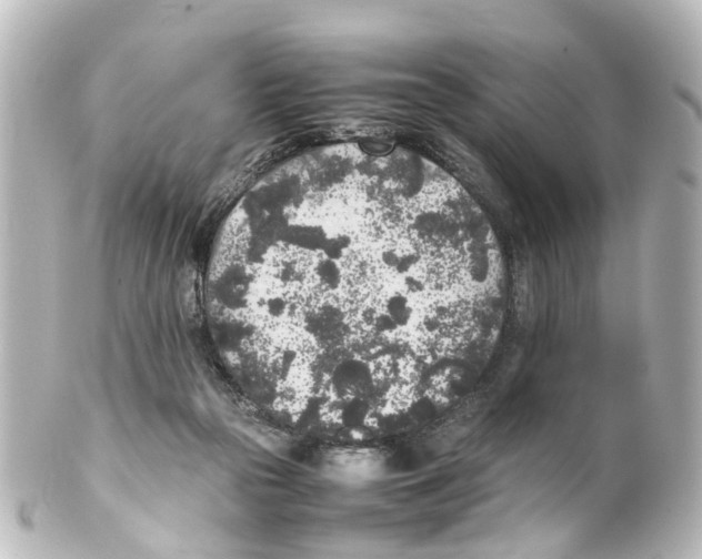 X0000100230169200806271758