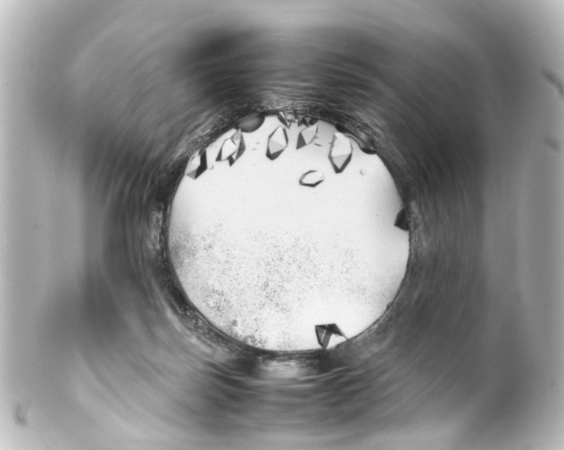 X0000100230171200806271758