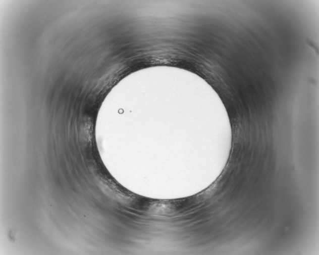 X0000100230174200806271758