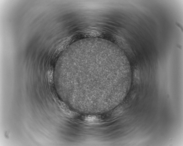 X0000100230177200806271758