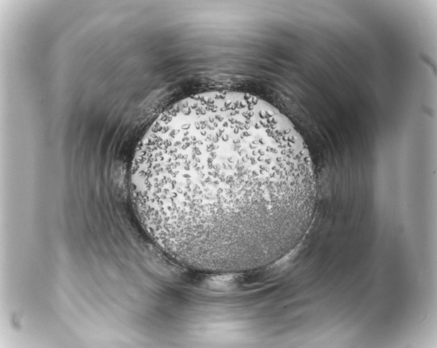 X0000100230178200806271758