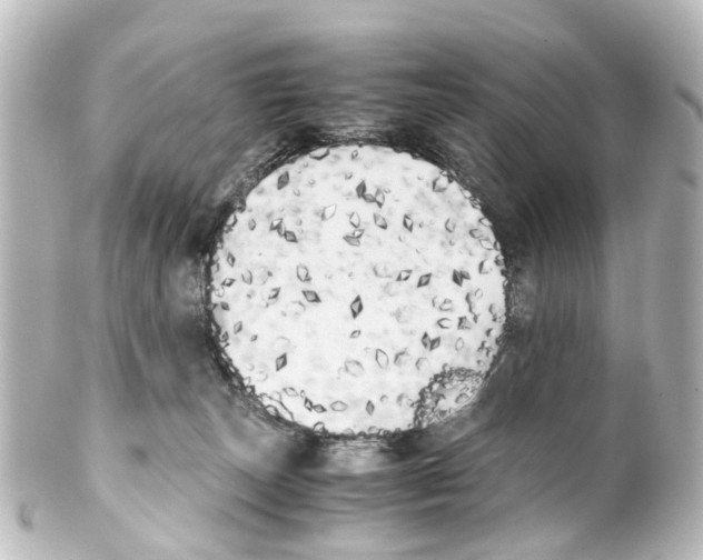 X0000100230179200806271758