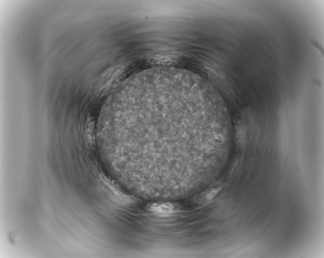 X0000100230181200806271758