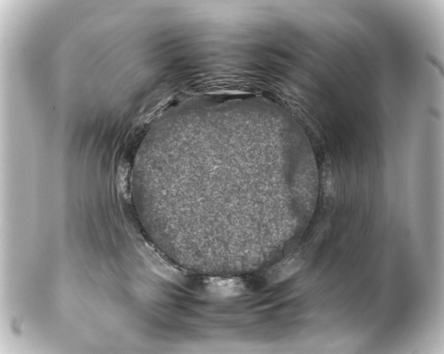 X0000100230185200806271758