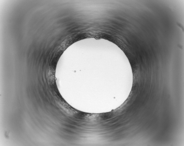 X0000100230186200806271758