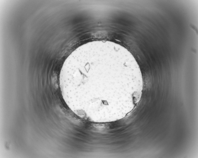 X0000100230187200806271758