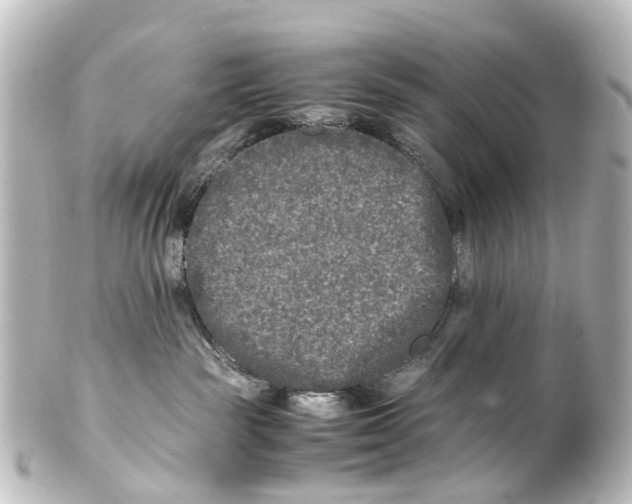 X0000100230189200806271758