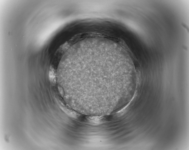 X0000100230191200806271758