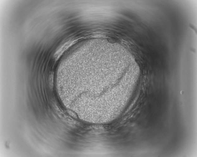 X0000100230194200806271757