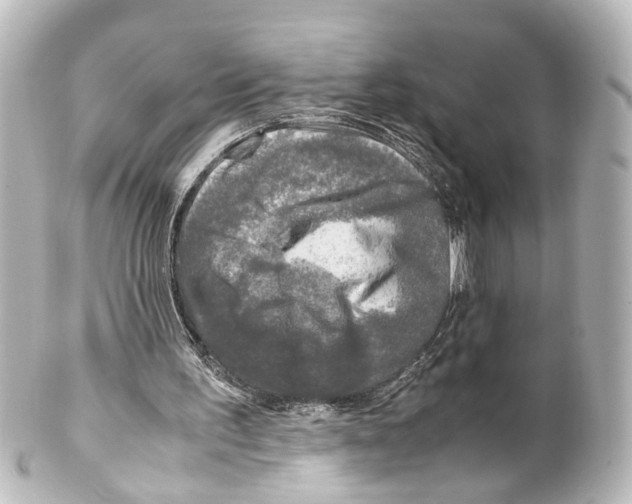 X0000100230195200806271757