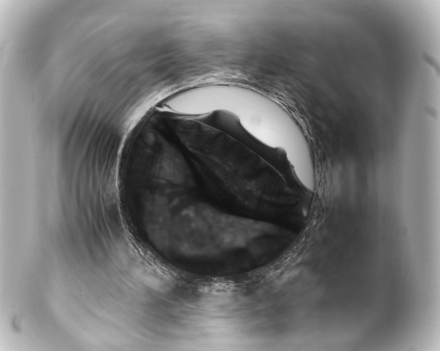 X0000100230196200806271757