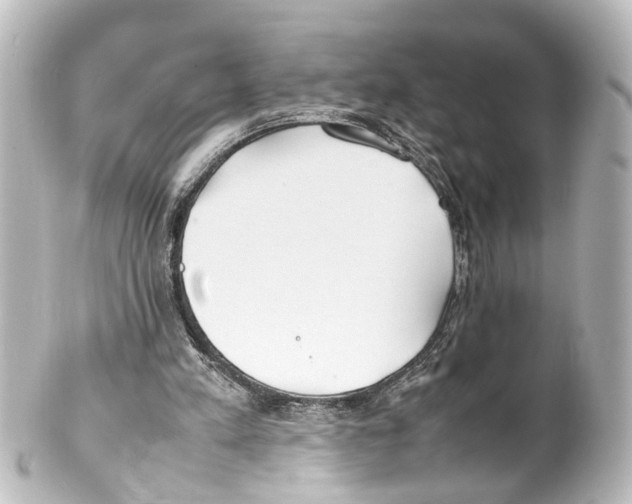 X0000100230197200806271757