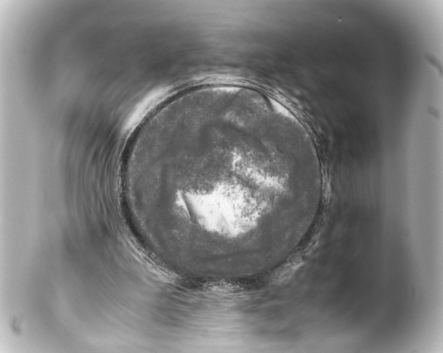 X0000100230199200806271757